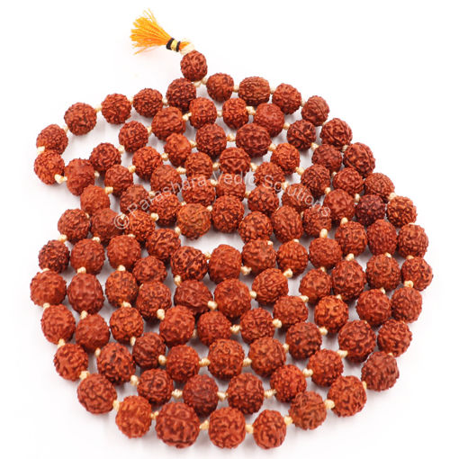 Picture of Arkam Rudraksha Mala Certified/Natural Rudraksh Mala/Original Rudraksha mala/Rudraksha Mala for jaap/ 12mm Rudraksha Rosary (Size: 12mm, Beads: 108+1)