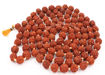 Picture of Arkam Rudraksha Mala Certified/Natural Rudraksh Mala/Original Rudraksha mala/Rudraksha Mala for jaap/ 12mm Rudraksha Rosary (Size: 12mm, Beads: 108+1)