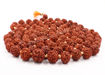 Picture of Arkam Rudraksha Mala Certified/Natural Rudraksh Mala/Original Rudraksha mala/Rudraksha Mala for jaap/ 12mm Rudraksha Rosary (Size: 12mm, Beads: 108+1)