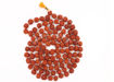 Picture of Arkam Rudraksha Mala Certified/Natural Rudraksh Mala/Original Rudraksha mala/Rudraksha Mala for jaap/ 12mm Rudraksha Rosary (Size: 12mm, Beads: 108+1)