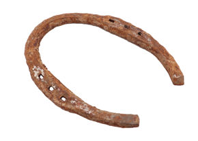 Picture for category Shani Dosh Nivaran