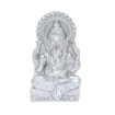 Picture of Arkam Parad Ganesh /Mercury Ganesha /Ganpati Statue /Ganesha Idol (64 grams)