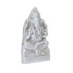 Picture of Arkam Parad Ganesh /Mercury Ganesha /Ganpati Statue /Ganesha Idol (165 grams)