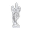 Picture of Arkam Parad Vishnu /Mercury Vishnu /Vishnu Statue /Parad Narayan Idol (105 grams)