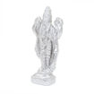 Picture of Arkam Parad Vishnu /Mercury Vishnu /Vishnu Statue /Parad Narayan Idol (105 grams)