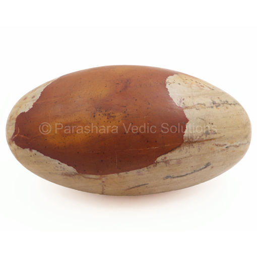 Picture of ARKAM Narmadeshwar Shivling/ Original Narmadeshwar Shivlinga/ Narmada Shivlinga/ Narmada River Shivalingam (Height: 9 inches, Color: Brown)