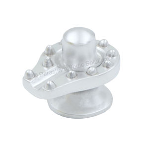 Picture for category Parad 12 Jyotirlinga