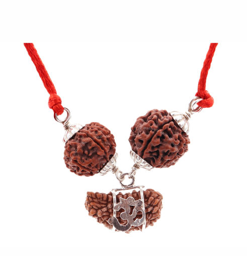 Picture of ARKAM Kalasarpa Dosha Nivaran Kavacha (8 Mukhi, 1 Mukhi, 5 Mukhi Rudraksha) For combating the ill effects of a kalasarpa dosha in the horoscope with Silver Capping and detailed Puja and wearing instructions