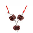 Picture of ARKAM Sampoorna Vidya Pradayak Kavacha (4 Mukhi, 6 Mukhi, 10 Mukhi Rudraksha) Bestows knowledge, intellect and learning with Silver Capping and detailed Puja and wearing instructions