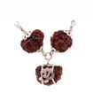 Picture of ARKAM Sampoorna Vyapaar Vridhi Kavacha (1 Mukhi, 14 Mukhi, Ganesh Rudraksha) For persons who are looking for growth and evolution in business with Silver Capping and detailed Puja and wearing instructions