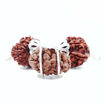 Picture of ARKAM Sampoorna Vyapaar Vridhi Kavacha (1 Mukhi, 14 Mukhi, Ganesh Rudraksha) For persons who are looking for growth and evolution in business with Silver Capping and detailed Puja and wearing instructions