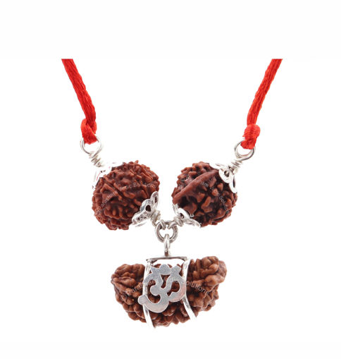 Picture of ARKAM Santan Prapti Kavacha (12 Mukhi, 1 Mukhi, Ganesh Rudraksha) For removing all hurdles in the path of child bearing and creates the right environment for birth of a child with Silver Capping and detailed Puja and wearing instructions
