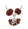 Picture of ARKAM Santan Prapti Kavacha (12 Mukhi, 1 Mukhi, Ganesh Rudraksha) For removing all hurdles in the path of child bearing and creates the right environment for birth of a child with Silver Capping and detailed Puja and wearing instructions