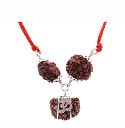 Picture of ARKAM Saubhagya Dayak Kavacha (1 Mukhi, 2 Mukhi, 5 Mukhi Rudraksha) Brings good fortune to the wearer with Silver Capping and detailed Puja and wearing instructions
