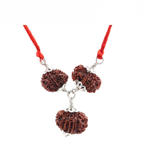 Picture of ARKAM Shani Dosh Nivaran Kavacha (7 Mukhi, 9 Mukhi, 11 Mukhi Rudraksha) For combating the malefic influence of the planet Saturn with Silver Capping and detailed Puja and wearing instructions