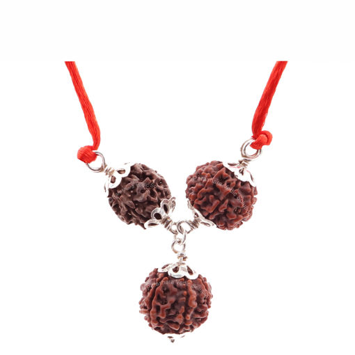 Picture of ARKAM Vyapaar Vridhi Kavacha (2 Mukhi, 6 Mukhi, 7 Mukhi Rudraksha) Brings growth and evolution in business with Silver Capping and detailed Puja and wearing instructions