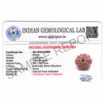 Picture of ARKAM Ten Mukhi Rudraksha Certified/ Original Nepali 10 Mukhi Rudraksh/ Natural 10 faced Rudraksha (Brown) with Certificate and Puja Instructions