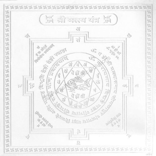 Picture of Arkam Matsya Yantra / Matsya Yantra - Silver Plated Copper - (4 x 4 inches, Silver)