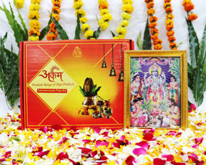 Picture for category Satyanarayan Puja Kits
