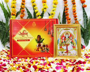 Picture for category Saraswati Puja Kits