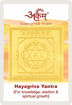Picture of Arkam Hayagriva Yantra / Haygreeva Yantra - Gold Plated Copper - (2 x 2 inches, Golden)
