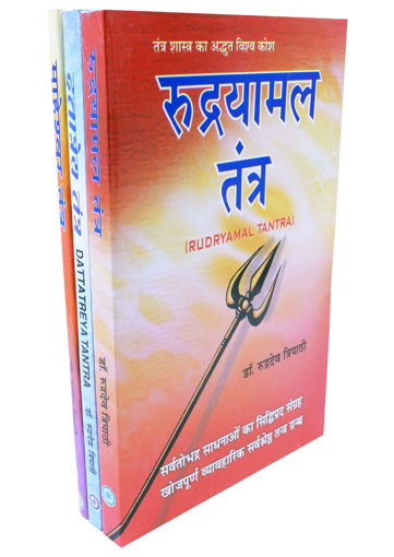 Picture of Rudrayamal Tantra/ Dattatreya Tantra/ Maheshwar Tantra (Set of 3) - Hindi - Ranjan Publications